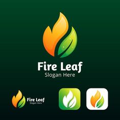 a fire leaf logo is shown with four different colors and shapes on the same side