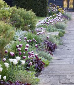 the garden is full of colorful flowers and greenery, along with stone walkways