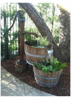 a wooden bucket filled with plants next to a tree