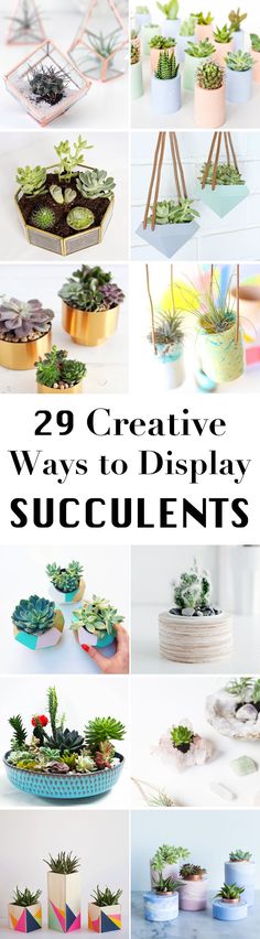 many different types of succulents are shown in this collage with the words creative