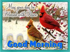 two birds sitting on top of a tree branch with the words good morning written below