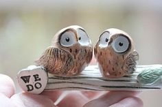 two small owls sitting on top of a branch with eyes drawn on them's faces