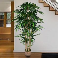 a potted plant sitting on top of a wooden table next to a stair case