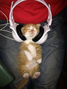 an orange and white cat laying on its back with headphones around it's neck