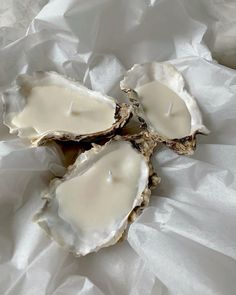 three oysters are sitting on some white paper