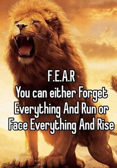 a lion with its mouth open and the words fear you can either forget everything or face everything