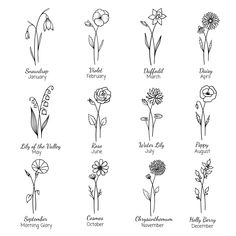 the different types of flowers and their names