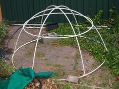 an outdoor garden area with a green tarp on the ground and various plants around it