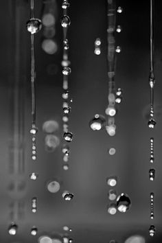 black and white photograph of rain drops hanging from the ceiling