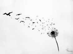 a dandelion with birds flying around it in black and white, against a cloudy sky