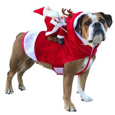 a dog dressed as santa claus is standing