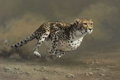 a painting of a cheetah running in the desert