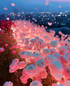 pink and white flowers are in the foreground with city lights in the back ground