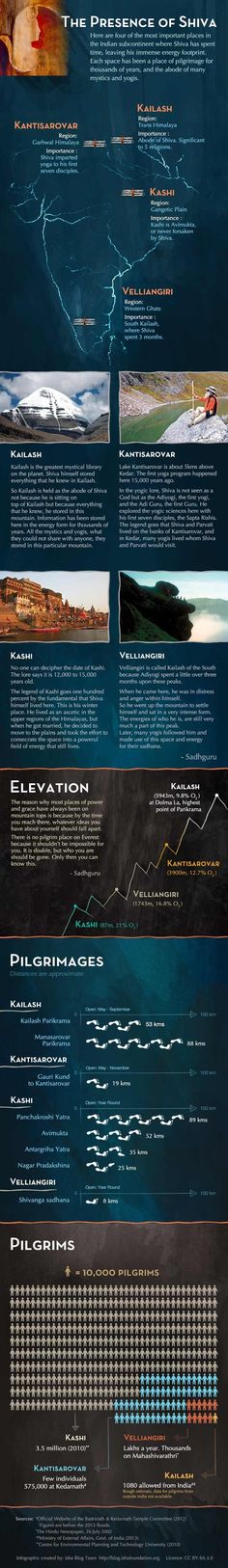 an info sheet showing the different types of boats in the ocean and how they are used to