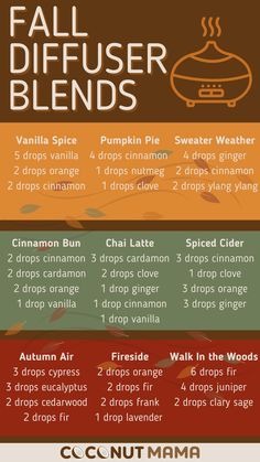 Doterra Pumpkin Spice Blend, Fall Diffuser Blends With Vanilla, Chai Diffuser Blend, Get Ready For Autumn, Pumpkin Spice Oil Blend, Fall Blends For Diffuser, Pumpkin Spice Diffuser Blend, Fall Aromatherapy Blends, Fall Diffuser Blends Essential Oils