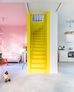 a cat sitting on the floor next to a yellow stair case in a pink and white room