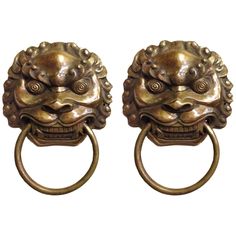 two brass lion heads are on the handles of these door knockers, both with round knobs