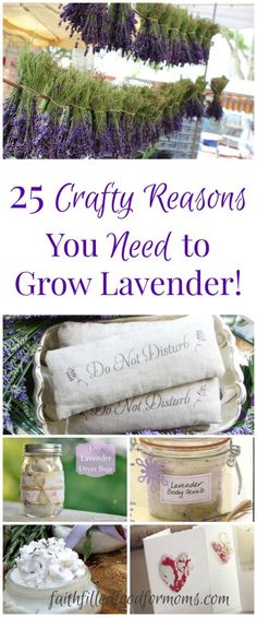 lavender flowers and candles with the words 25 crafty reasons you need to grow lavender