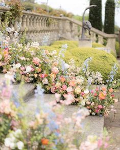 many different colored flowers are growing in the garden