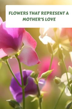 A mother's love is one of the purest and most selfless expressions of love that exists in the world. It is no wonder that so many flowers have come to