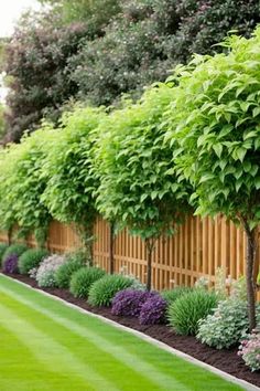 a row of trees in front of a wooden fence with purple flowers and green grass