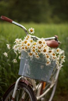 a bicycle with a basket full of daisies on the front and back wheel, parked in a grassy field