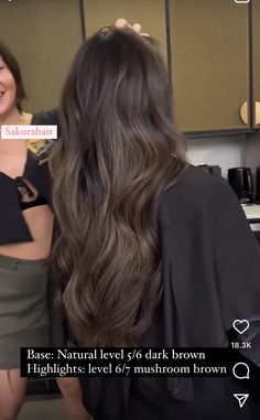 Dark To Medium Brown Balayage, Level 4 Brunette Hair, Deep Mushroom Brown Hair Color, Cool Soft Brown Hair, Toner Colors For Dark Hair, Subtle Cool Brown Balayage, Muted Brown Balayage On Black Hair, Beige Brown Highlights On Dark Hair, Mushroom Brown Hair At Home