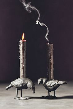 Get the most out of (g)hosting this spooky season with our 2024 collection of Halloween décor. Once upon a midnight dreary... this crow candle holder creates a frightfully delightful décor piece for your Halloween table or mantel. | Crow Taper Candle Holder by Anthropologie Modern Halloween Decor, Pumpkin Candle Holder, Halloween Trends, Spooky Art, Gold Pumpkins, Modern Halloween, Iron Candle Holder, Pumpkin Candles