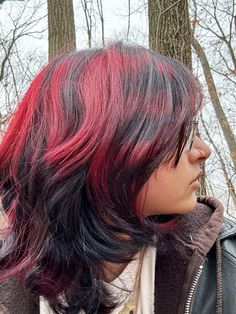 Red And Black Layered Hair, Chunky Highlights With Raccoon Tail, Scene Hair Raccoon Tail, Red And Black Raccoon Tails Hair, Red Racoon Tail Hair, Dyed Hair Red And Black, Red Raccoon Tail Hair, Short Red And Black Hair, Racoon Hair Stripes