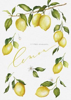 watercolor lemons with green leaves and flowers