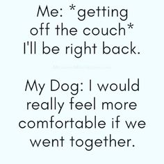 a quote that says, me getting off the couch i'll be right back my dog would really feel more comfortable if we went together