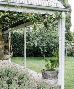 an outdoor area with plants and hanging chairs