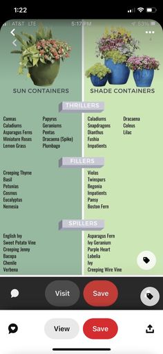 an iphone screen showing different types of flowers and plants in vases on the same page