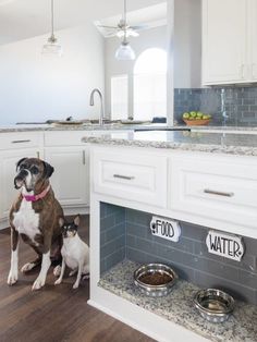 two dogs sitting on the kitchen floor in front of their food bowls