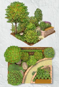 an image of a garden with different types of trees and plants in it's beds