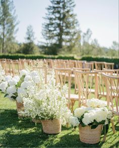 rows of wooden chairs with white flowers in them on the grass at an outdoor ceremony