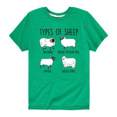 He'll love showing off his unique style in this Boys 8-20 Types Of Sheep Graphic Tee.  Graphic on chest Crewneck Short sleeveFABRIC & CARE Imported Machine wash Cotton, polyester He'll love showing off his unique style in this Boys 8-20 Types Of Sheep Graphic Tee.  He'll love showing off his unique style in this Boys 8-20 Types Of Sheep Graphic Tee.  Licensed Character Size: Large. Color: Med Green. Gender: male. Age Group: kids. Material: Cotton Blend. Types Of Sheep, Sheep Graphic, How To Show Love, Boy's Clothing, Fabric Care, Sheep, Unique Style, Graphic Tee, Graphic Tees