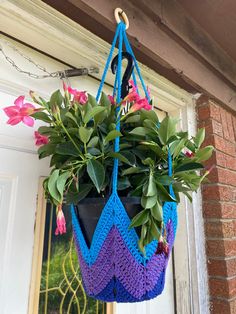 a potted plant hanging from the side of a building with purple and blue crochet