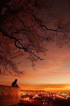 a man sitting on top of a cement structure next to a tree at night with the city lights in the background