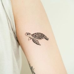 a small turtle tattoo on the arm