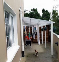 a dog is walking down the sidewalk in front of a house with clothes hanging up to dry