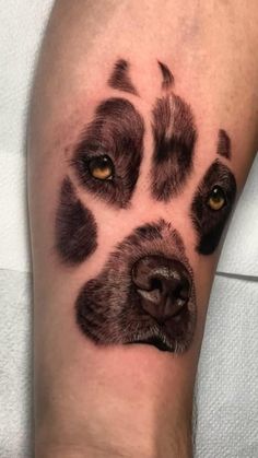 a close up of a dog's paw with an orange eye