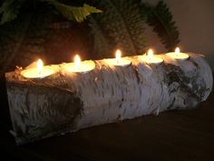 four lit candles are placed on a piece of tree bark in front of a potted plant