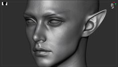 Dark Elf, Yuns Art Zbrush Hair, Face Blender, Elf Face, Arkham Origins, Photorealistic Rendering, Digital Sculpting, 3d Sculpting, Motion Capture, Elf Ears