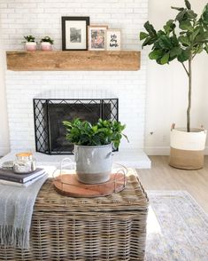 a living room with a fireplace, potted plant and pictures on the wall above it