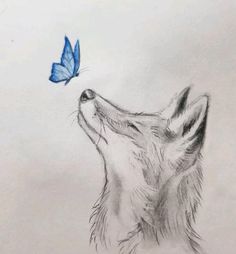 a drawing of a wolf with a blue butterfly on its nose