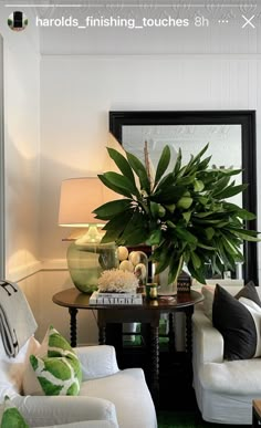 a living room filled with furniture and a large potted plant on top of a table