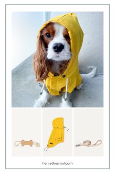 a dog wearing a yellow raincoat and leash with the caption, there is no image here to provide a caption for