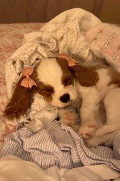 a small dog laying on top of a bed covered in blankets and sheets with pink bows