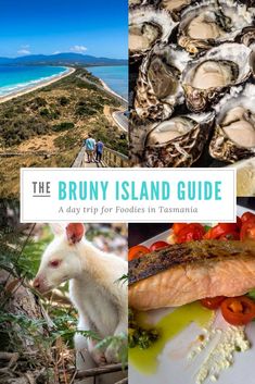 the bruny island guide with pictures of food and people walking along the beach